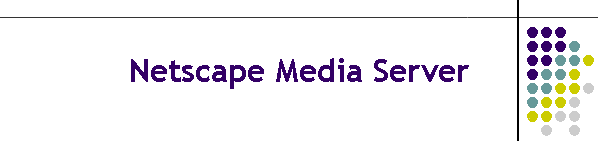 Netscape Media Server